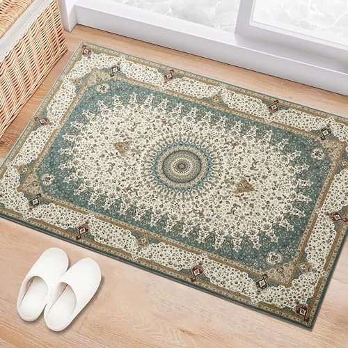 BedLooms Washable Door Mats Indoor & Outdoor - Non-Slippery Heavy Duty Front Door Mat - Stylish & Perfect Dust Grabbing Doormats - Super Absorbent Entrance Mat (Willow, 40cm x 60cm)