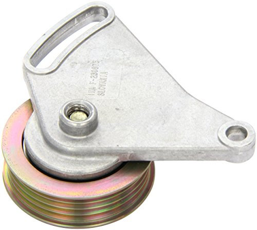 Ina 531030910 Tensionatori