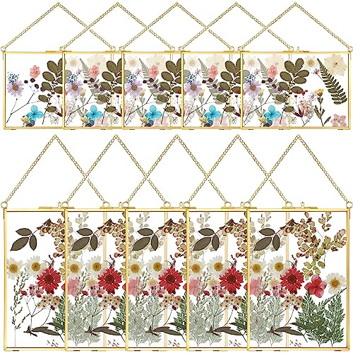 Qunclay 10 Pieces Pressed Flower Glass Picture Frames 5 x 7 Inch Brass Clear Horizontal Vertical Hanging Photo Frames with Chain for Gallery Vintage Artwork Display