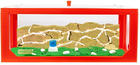 AntHouse - Fourmilière Naturelle en Sable 3D Rouge | Kit Commencement Big 30x15x10 cm| Ferme de Fourmis | Colonie de Fourmis Incluse