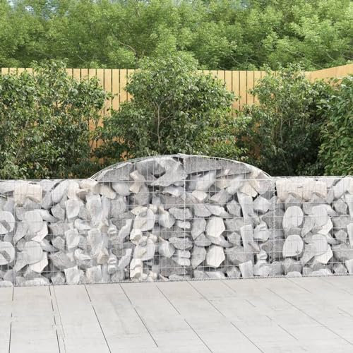 Iiaky Cestas de gaviones 10 uds Forma de Arco Hierro 300x30x80/100 cm Huerto Urbano