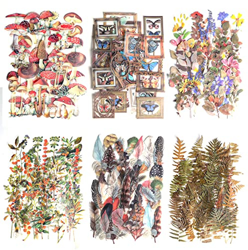 Medo 240 Pcs Transparent Scrapbooking Stickers Set, 120 Style Vintage Scrapbook Stickers Nature Butterfly Feather Flower Clear Sticker for Scrapbook Journal Notebook Cards Journaling Supplies