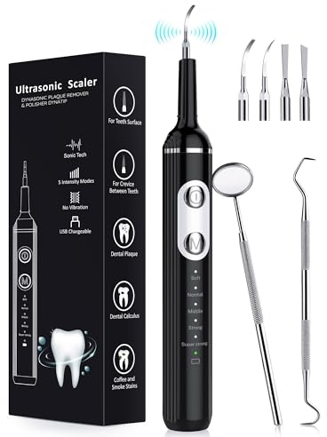 Plaque Remover for Teeth, Dental Cleaning Kit Tartar Remover for Teeth with LED Light & 5 Modes, Rechargeable Dental Cleaner, 4 Replaceable Heads