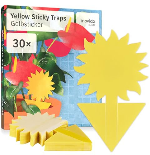 Fungus Gnat Sticky Traps : 30 Yellow Fly Sticky Traps for House Plants – Insecticide Free House Plant Stickers – Fruit Fly Catcher – Insect Catcher Control Indoor by Inovida