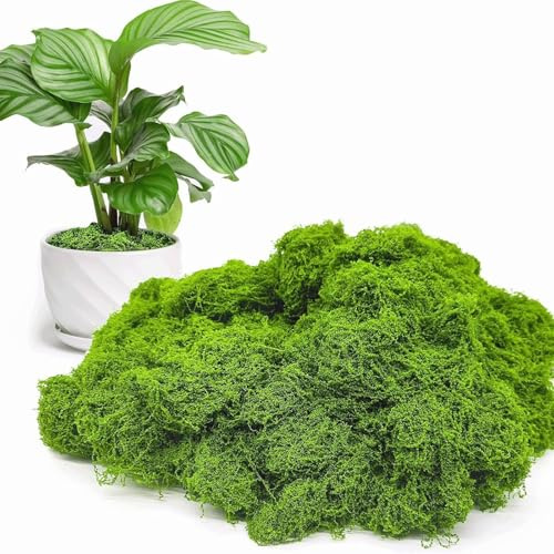 PERSENTU 50g Green Artificial Moss, Polyester Fake Moss Decor, Faux Moss for Garden,Potted Plants, Craft, Moss Wall, Mini Scenery & Shop Window Christmas Decoration