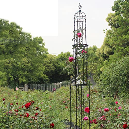 Arceau à rosier Arche de Jardin,Support tuteur métal Colonne,Tuteur Obélisque de Jardin Pieu Tuteurs Plantes Bâtons Treillis,Supports pour Plantes Grimpantes,Fleurs,D'arbustes et de Légumes