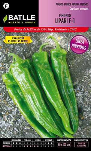 Semillas Batlle Pimiento Lipari F-1
