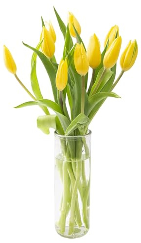 KaBloom-10 Yellow Tulip Bouquet,Flowers for Valentine, Mother's Day