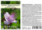 Seedeo Echter Kapernstrauch (Capparis spinosa) 50 Samen