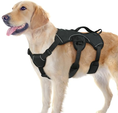 rabbitgoo Escape Proof Dog Harness, Soft Padded Full Body Pet Harness, Reflective Adjustable No Pull Vest with Lift Handle and Leash Clip for Large Dogs Walking Hiking Training, L, Black