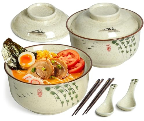Ceramic Ramen Bowl Tableware Set for 2 Person, Japanese Style Retro Ramen Bowls Set 800ml Noodle Bowl with Chopsticks and Spoons, Asian Soup Bowls with Lid for Microwave & Dishwasher Safe, Twig