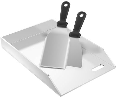 Froadp Plancha de acero inoxidable, 20 x 30 x 4 cm, universal, con canaleta de aceite, plancha para barbacoa de gas y carbón, accesorios para barbacoa, incluye 2 espátulas
