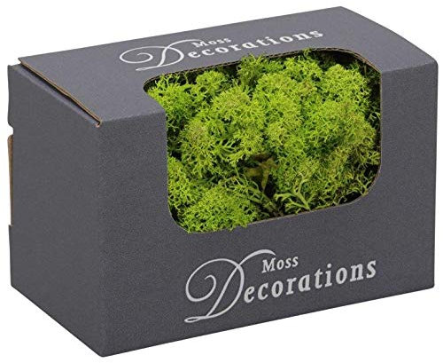 Finnland - Moos zum Basteln - vorgereinigt - präpariert & gefärbt - Luftgetrocknet - Bastelmoos Finnlandmoos (Hellgrün, 50g)