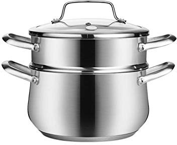 OQHAIR Exprimidor de Vapor de Acero Inoxidable, vaporizador de Frutas y Verduras para Alimentos con Manguera de Tapa de Vidrio con Mango de Abrazadera (Color : A) (B)