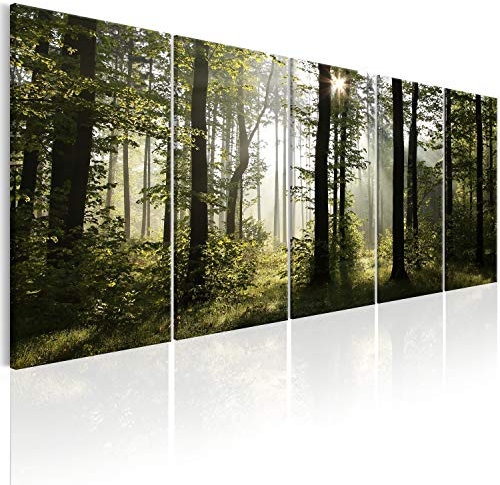 murando - Cuadro de cristal acrílico Bosque 150x60 cm Impresión de 5 Piezas Pintura sobre Vidrio Imagen Gráfica Decoracion de Pared Abstracto - Bosque Paisaje Naturaleza Arbol c-B-0288-k-m