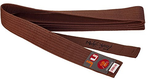 Ju-Sports Budogürtel braun mit Bestickung Judo (Japanisches Kanji)