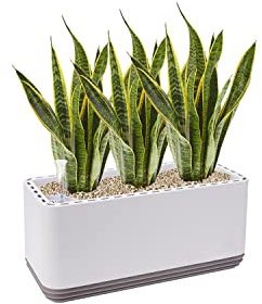 AIRY System L inkl. 3 Bogenhanfe & Airy Base Substrat • Natürlicher Luftreiniger eliminiert Schadstoffe, Allergene & Gerüche • Für Räume mit ca. 30qm • Made in Germany, 3306-613 antikweiss-grau