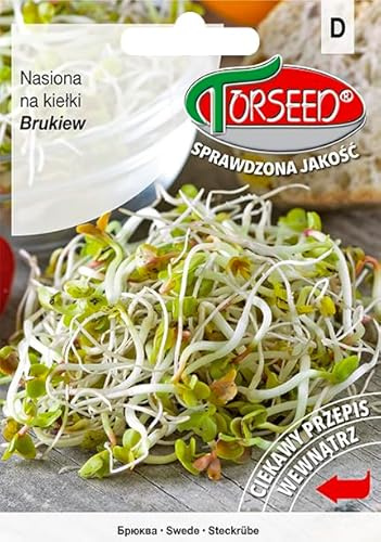 Verdica germes de graines de betterave (Brassica rapa), texture croquante, riche en vitamines et minéraux, idéal pour la culture en intérieur, certifié non OGM (10 grammes)