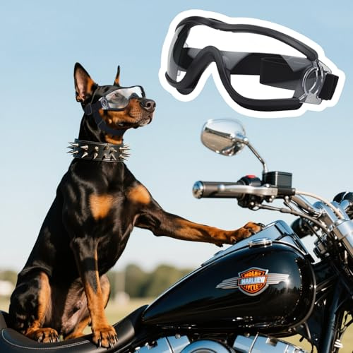 Gafas de Sol para Perros Dwafill, Gafas Perro Protección UV, Gafas de Sol para Perro Correa Ajustable, para Perros medianos y Grandes (Black Transparent)