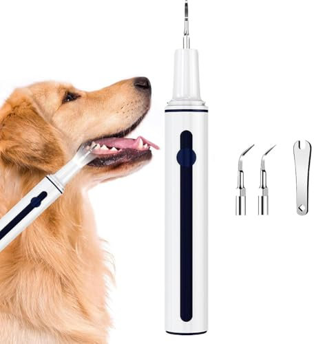 DIKHEE Zahnreinigung für Hunde, Elektrische Haustierzahnbürste, Ultraschall Zahnreiniger für Hund und Katze, Zahnpflege für Haustiere mit 3 austauschbare Köpfe und Mundspiegel – Weiß