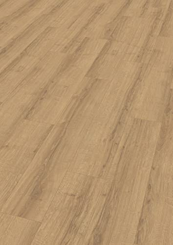 Egger Suelo laminado Aqua Clic It EL1007 Sherman Roble Miel (8 mm, 1,995 m²), aspecto de madera auténtica, fácil instalación mediante sistema de clic, práctico y resistente, color marrón