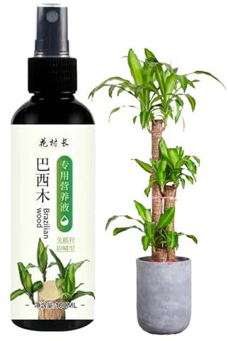 Poludatly 100ml Brasilianische Pflanze, Holzhaus Pflanzen Dünger, Glückliche Bambus Flüssigkeits Dünger, Hydroponische Brasilianische Nährstofflösung Für Innen Pflanzen