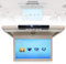 Car Overhead Monitor, 17.3 Inch 1080P Roof Mounted TFT Screen with HDMI, USB, SD Port, IR and FM