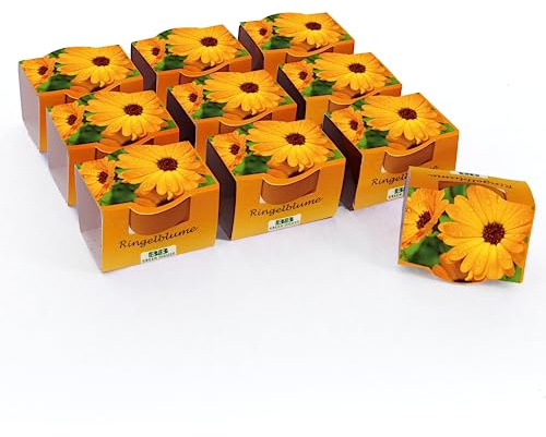 Bull & Bear Mini Pflanzset Ringelblume Samen 10er Set, 10 Tontöpfchen mit Ringelblumensamen und Pflanzsubstrat