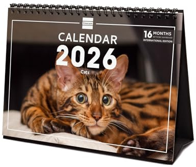 Finocam - Calendario da tavolo 2026 Layout mensile Gennaio - Dicembre 2026 + Sett. - Dic. 2025 (4 mesi) ridotto | Calendario 2026 | Immagini Cats - Internazionale