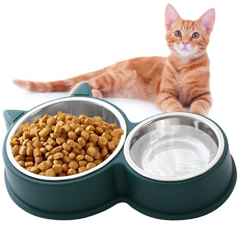 Ensemble de Bols pour Chats en Acier Inoxydable, Bols antidérapants pour Chats et Chatons, mangeoire antidérapante, Disponible en Vert, Bleu, Rose et Blanc. (Vert)