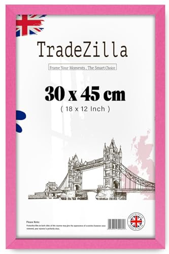 Amazing | Exquisite Strong 18 Inch x 12 Inch Poster Pink Frame |Art, Document, Certificate, canvas, for Wall Gallery (30 x 45 CM) [ Pink ]