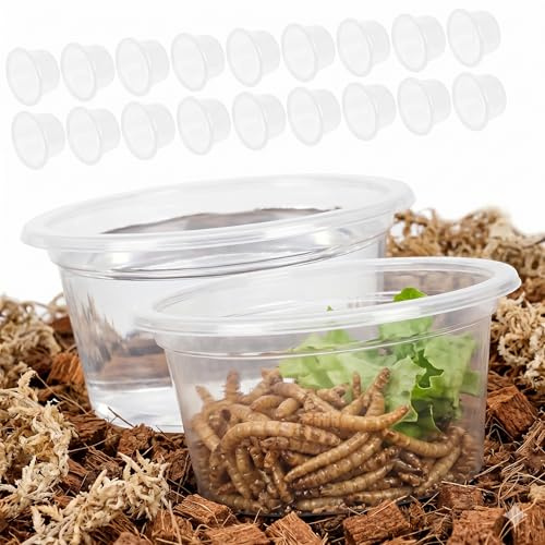 JOINPAYA Reptilienschale Transparent 4.70X4.70X2.50 cm 20 Stück Kompakte Wassernäpfe Für Gecko Schlange Terrarium Reptilien Futterschalen Praktisch Für Tägliche Fütterung