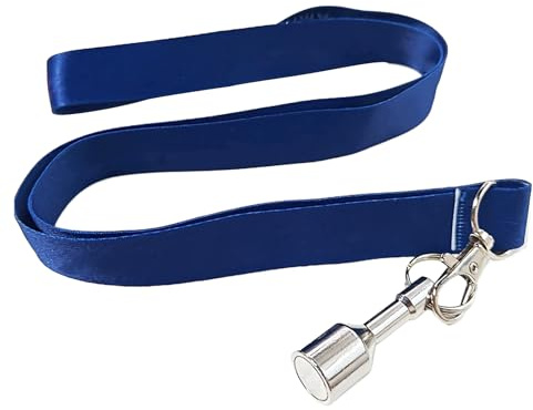 Raccoglitore Di Bocce Magnete Forte Portatile E Pratico