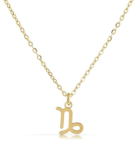 Made by Nami Gold Sternzeichen Halskette Damen aus Chirurgischem Edelstahl 40 + 5 cm Sternzeichen Kette Gold Hypoallergen und Wasserfest Spiritueller Schmuck (Steinbock)