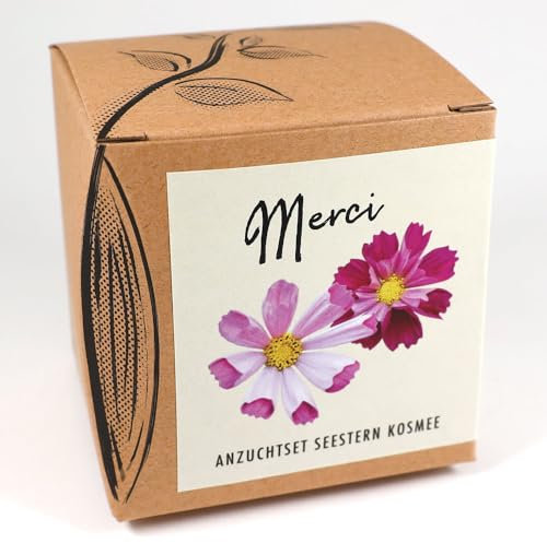 Geschenk-Anzuchtset MERCI mit Seestern Kosmee Samen - eine Geschenkidee aus dem naturkraftwerk