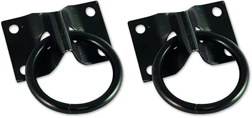 Chapuis 8907ZN Platine avec Anneau, Noir, 70 x 45 mm (Lot de 2)