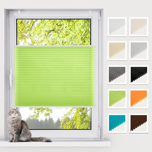 BelleMax Plissee ohne Bohren Klemmfix, Grün 35x120cm(BxH), Easyfix lichtdurchlässig Sichtschutz und Sonnenschutz, Jalousie Plisseerollo mit Klemmträger, Faltrollo für Fenster & Tür