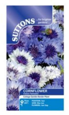 Suttons - Cornflower Seeds - Classic Fantastic