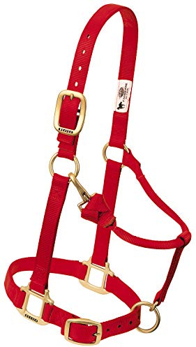 Weaver Leather justerbar draghästgrimma i nylon, 2,5 cm (1 tum), stor, röd