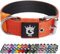 TSPRO Taktisches Hundehalsband, Robustes Halsband für Hunde mit Metallschnallenverschluss, 3,8 cm Breit, Verstellbar und Dick für Mittel bis Großgroße Hunde (Orange L)