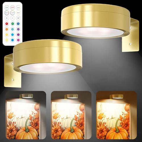 Leogony 2 PCS Magnetic Painting Light, Rechargeable LED Picture Lights for Wall with Remote Control and 3 Color Temps