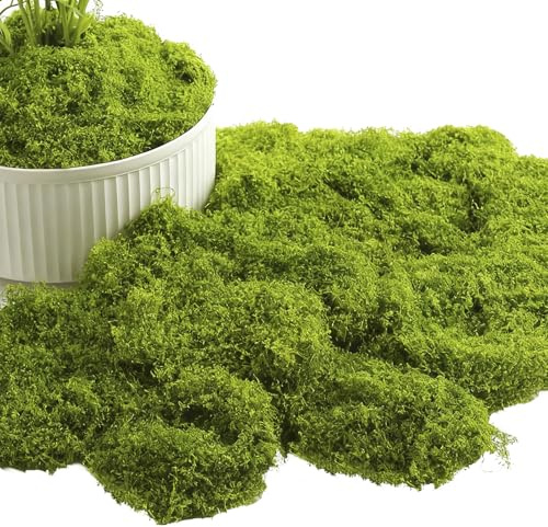 100g Artificial Moss Light Green, Faux Moss Indoor Plant Pots Fake Mosss Crafts DIY Wreath Terrarium Model Making Non Toxic Decorative Artificial Plants forpot landscape aquarium decoration etc