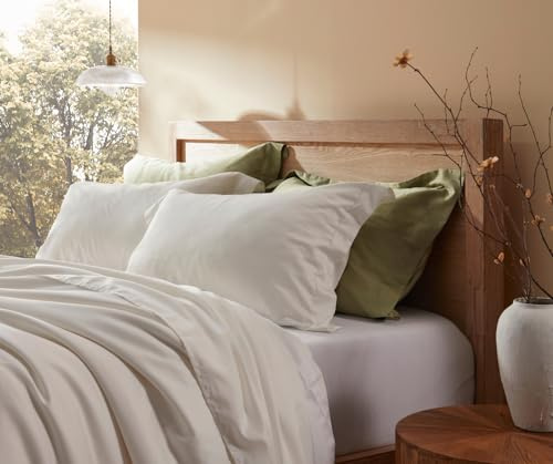 baisihan Down Feathers Pillows Standard Size Set of 2- Hotel Collection Bed Pillows | Feather-Proof 1000+ Clean | Naturally Resilient Pure | Pillows for Side, Back & Stomach Sleepers, 20x36 2 Pack