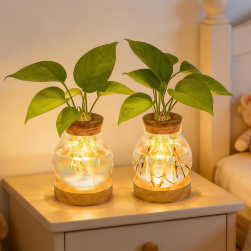 2 stycken upplysta vaser glas LED-lysande, växtodlingsstation med 3 färger ljus LED-belysning, planteringskärl med trälock, hydroponiska växter, förökningsstation, glasvas för hem, kontor dekoration