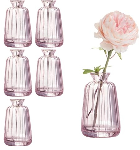 Set di 6 piccoli vasi in vetro per decorazione da tavolo, mini vasi per fiori per matrimonio (11 x 6,5 cm, rosa)