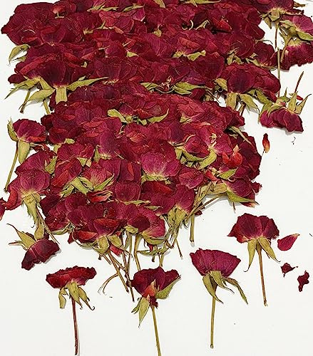 12 pcs Red Rose with Stem Real Natural Dried Pressed Flowers for Resin Scrapbooking DIY Candle Decoration Jewelry Crafts