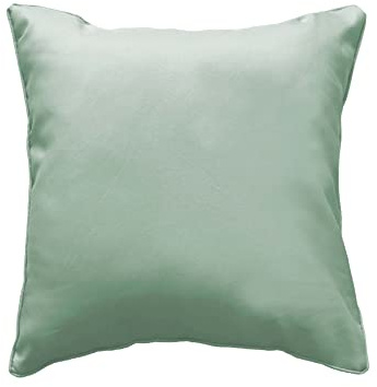 Douceur d'Intérieur, Coussin Déhoussable (40 x 40 cm) Essentiel Sauge, Polyester Uni