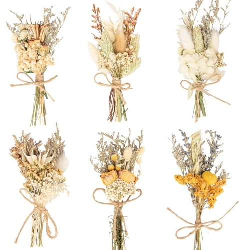LAUMOE 6 Bündel Trockenblumenstrauß, Mini Getrocknete Blumenstrauss, Getrocknete Blumen Trockenblumen zum Basteln für Bilderrahmen DIY Heim-Party Und Hochzeitsdekoration (Weiß+Gelb)