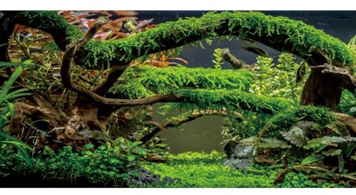 MIRRORANG 61x41cm Akvarium Bakgrund Grenar Terrarium Bakgrund Vattenväxt Flodsäng & Sjö Fiskakvarium Vinyl Bakgrund