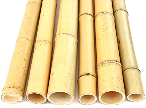 1 tube de bambou Moso de 200 cm blanchi jaunâtre d'un diamètre de 6,8-8 cm – Tige en bambou de 2 m de long